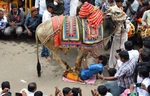 تحمل وزن گاو در اعتراض به دولتدولت ایالت کارناتاکا در بنگلور هند