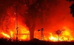 آتش‌سوزی در کالیفرنیا
