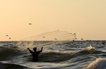 ماهیگیری در غزه